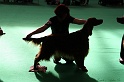 Crufts2011 797